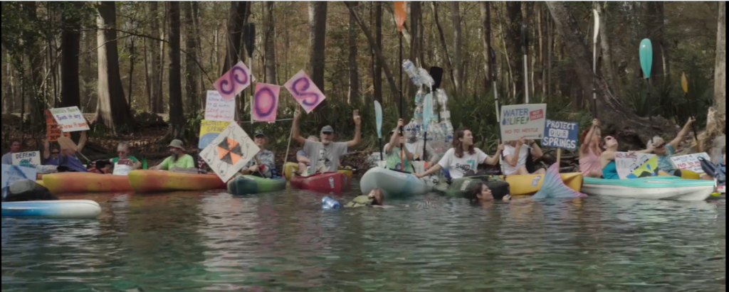 protestors for protecting Florida's springs