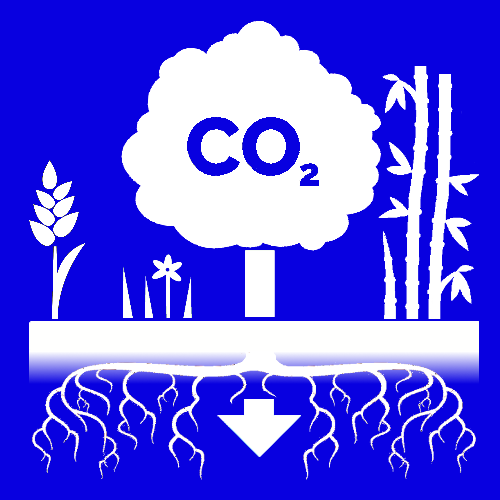 Blue and white graphic of a tree capturing and storing carbon